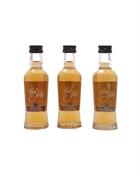 Paul John Presentset Miniflaska 3x5 cl Indian Single Malt Whisky 46 procent alkohol